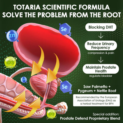 Totaria Organic Saw Palmetto - Prostate Health Support with Ashwagandha, Nettle & Pumpkin Seed (120 Count)