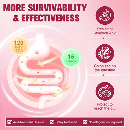 Totaria Probiotics for Women – 120B CFU, Akkermansia, Enzymes & Prebiotics | 120 Vegan Capsules