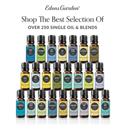 Edens Garden Magnolia Essential Oil Blend – 100% Pure Therapeutic Grade, 10 ml