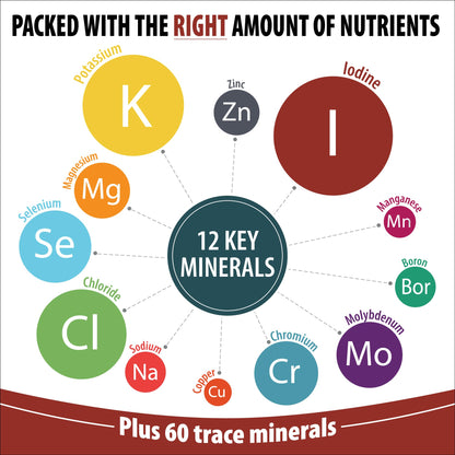 Trace Mineral Complex | Full Spectrum Minerals | Ionic Liquid Mineral Drops for Water | Electrolytes, Hydration Supplement | 2 fl oz Glass Bottle