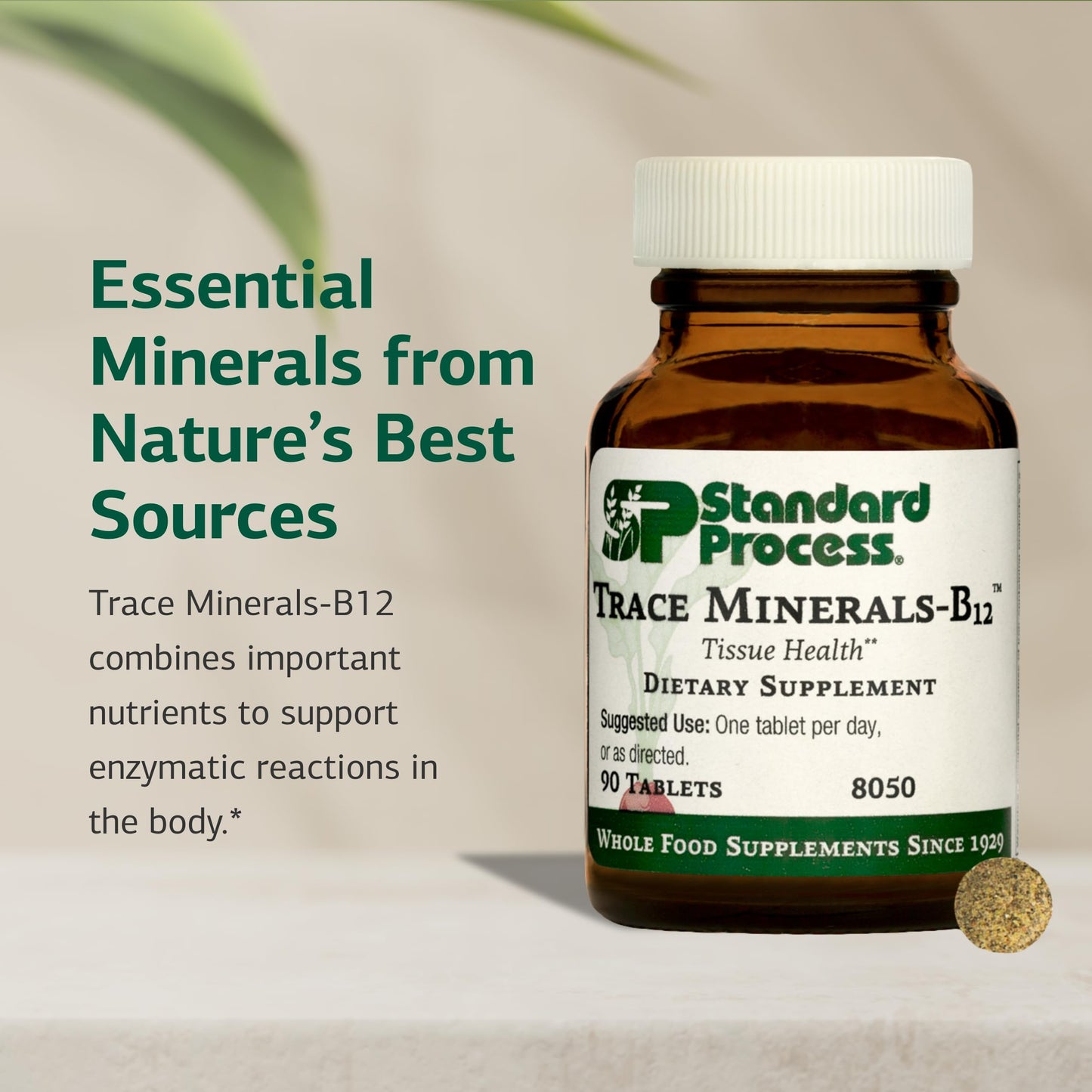 Trace Minerals-B12 with Iodine, Zinc & Copper - Thyroid & Cell Function Support | 90 Tablets