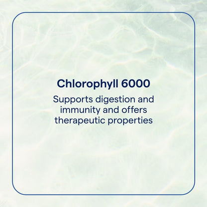 Trace Minerals Concentrated Ionic Chlorophyll - Liquid Chlorophyll Supplement for Cell Health, Digestive System & Energy Support - Immune Support - Gluten-Free - Vegan - Natural Mint 2 fl oz (120 Servings)