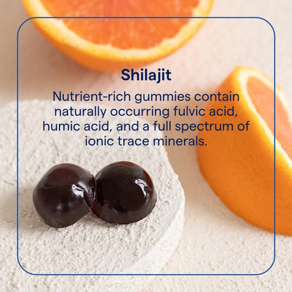 Trace Minerals Shilajit Gummies - Orange Chewable Immunity, Energy & Brain Health | 30 Count