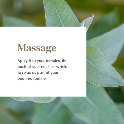 Tranquil Essential Oil Roll-On 10 ml by Young Living | Relaxation & Focus