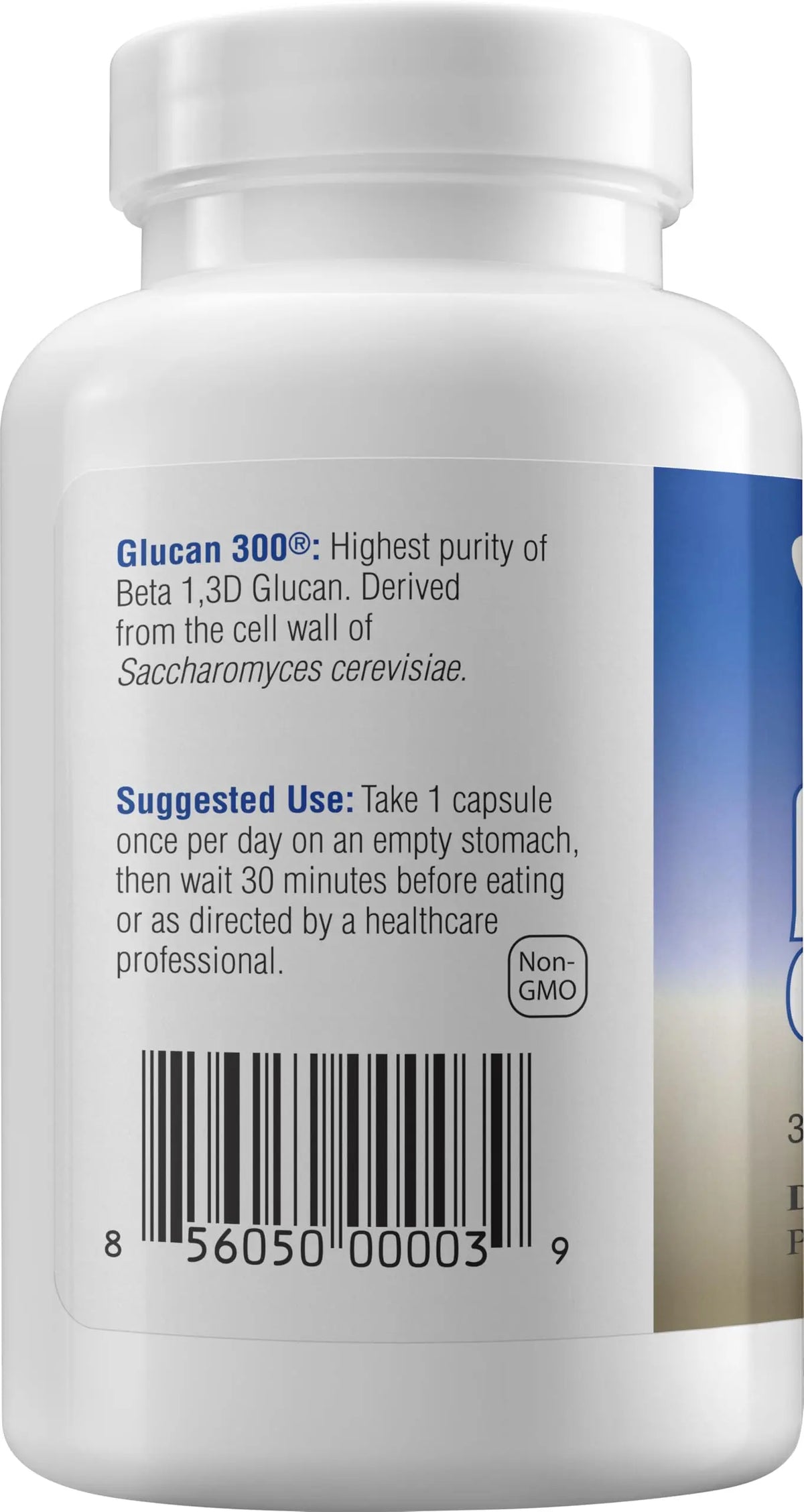 Transfer Point Immune Support Supplement – Highly Purified Beta Glucan 500 mg Capsule (Pack of 1) BritishVita | Premium UK Vitamins & Wellness Supplements
