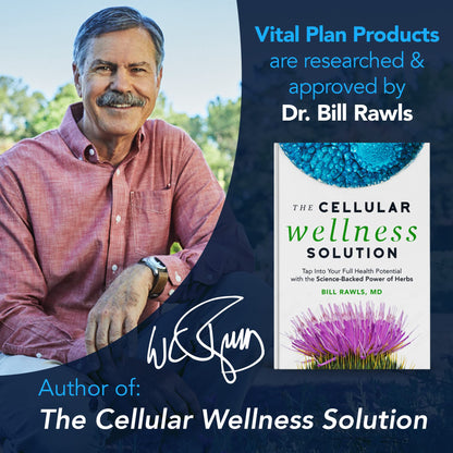 Vital Plan Gut Balance Supplement by Dr. Bill Rawls – Digestive Health Support (180 Capsules)