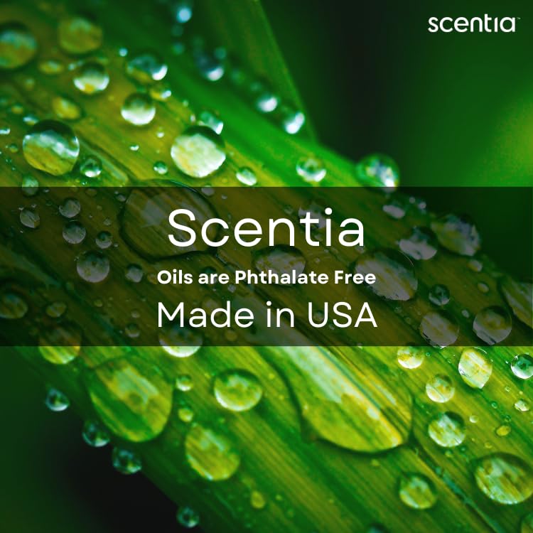 Scentia Citrus Harmony Essential Oil Blend – 50ml Lemon, Eucalyptus & Musk