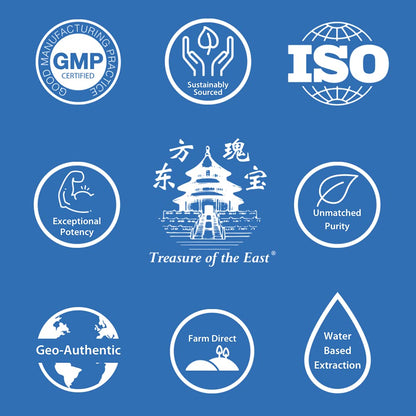 Treasure of the East - Xiao Yao Wan (100 Capsules)
