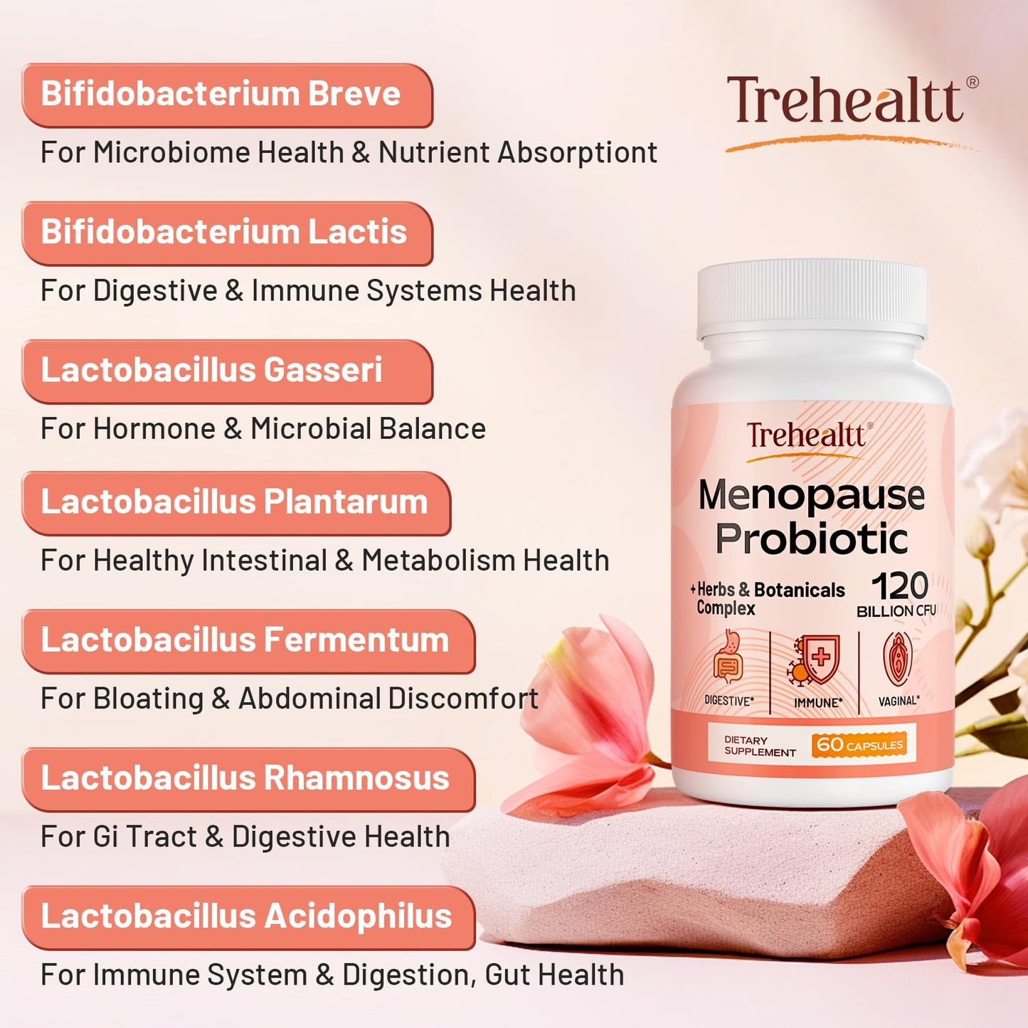 Trehealtt Menopause Probiotic – 120B CFU, 13-in-1 Herbal Complex, 240 Vegan Capsules
