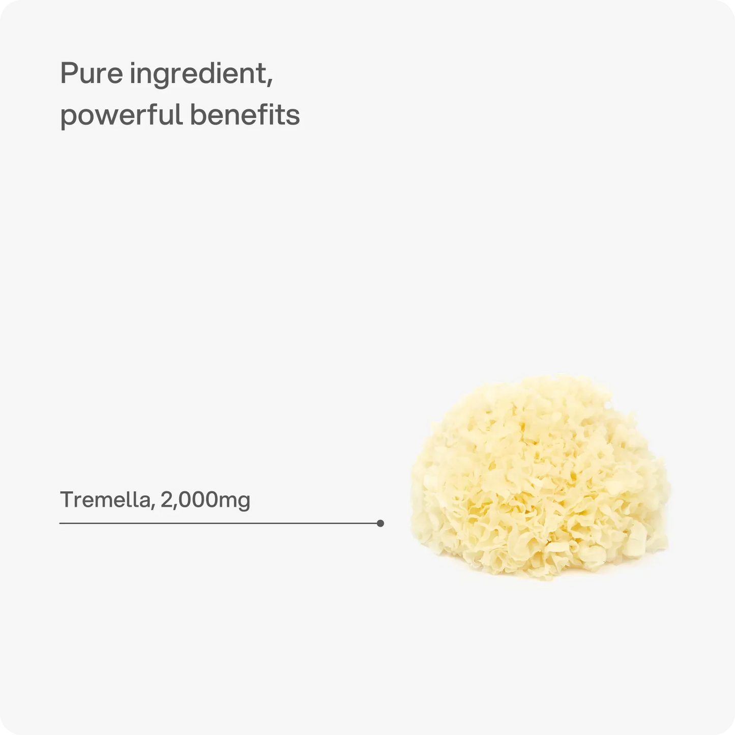 Headstrong Tremella Mushroom Capsules