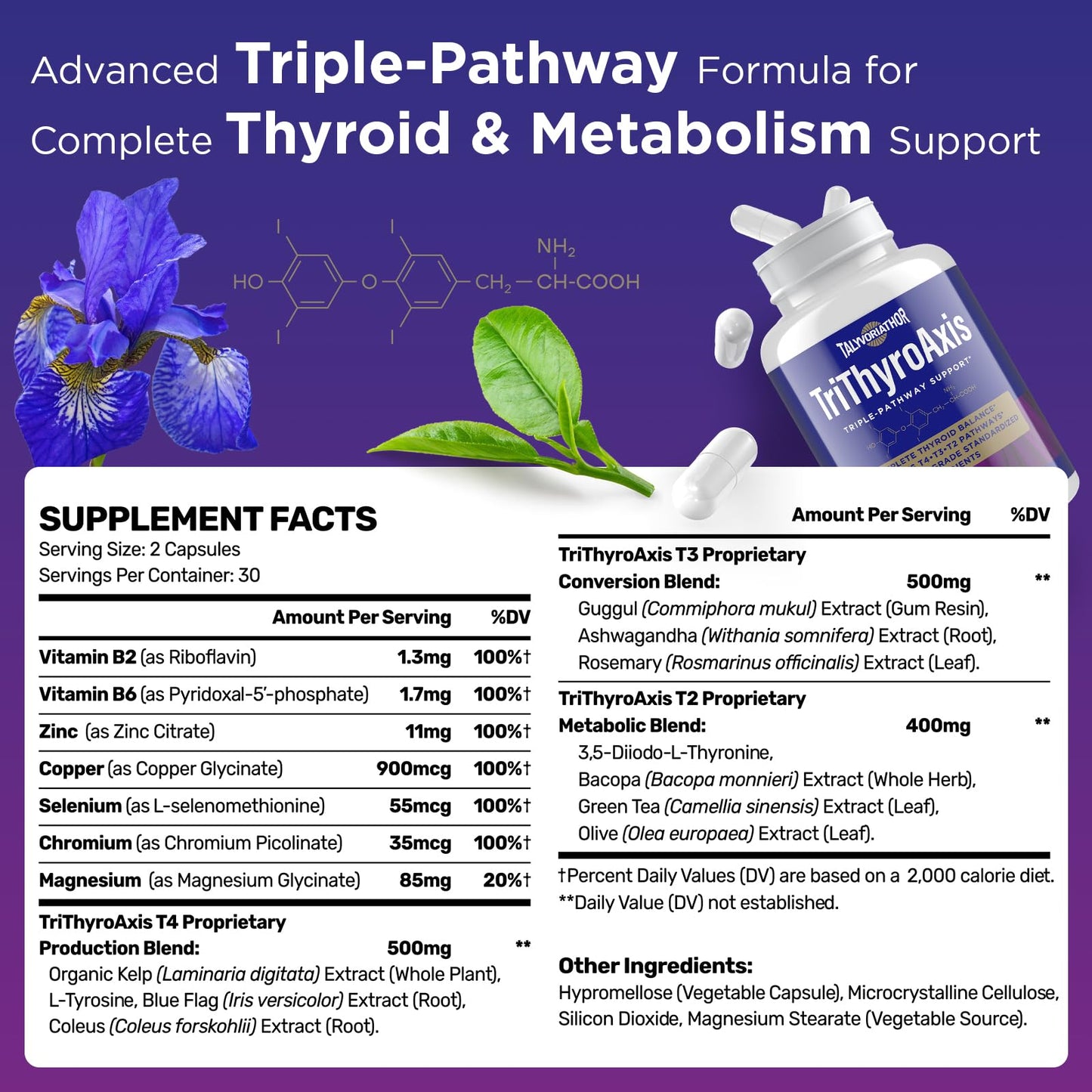 Thyroid Support Supplement for Women & Men – T4, T3, T2 Pathways | Metabolism & Energy