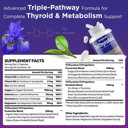 Thyroid Support Supplement for Women & Men – T4, T3, T2 Pathways | Metabolism & Energy