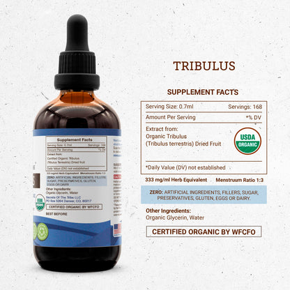 Secrets of the Tribe Tribulus USDA Organic | Alcohol-Free High-Potency Herbal Drops