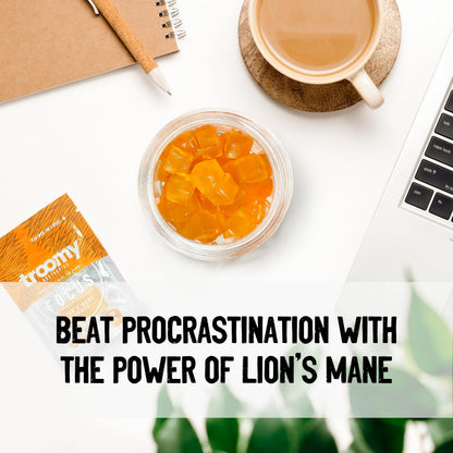 Troomy Lion's Mane Focus Gummies – 30 Count (Tangerine & Passionfruit)