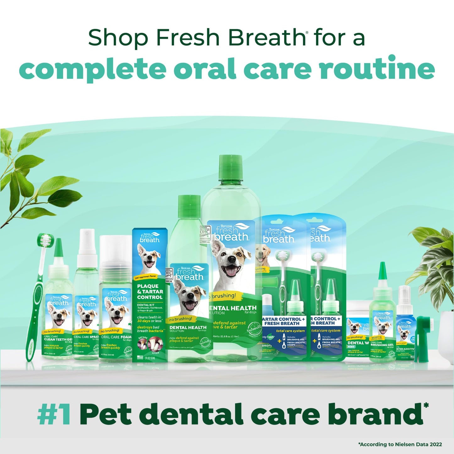 TropiClean Fresh Breath Water Additive for Dogs | Breath Freshener & Teeth Cleaning | 2.2oz