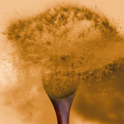 TruBrain Morning Mushrooms: Coffee Alternative with Superfoods & Adaptogens | USA-Grown Lion's Mane, Chaga, Cordyceps, Reishi