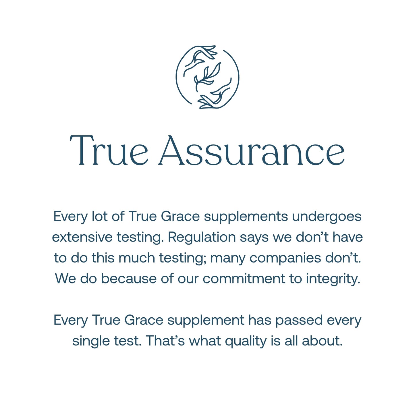 True Grace One Daily Men's Multivitamin – Fermented Minerals, Organic Mushrooms & Adaptogens (90 Vegan Tablets)
