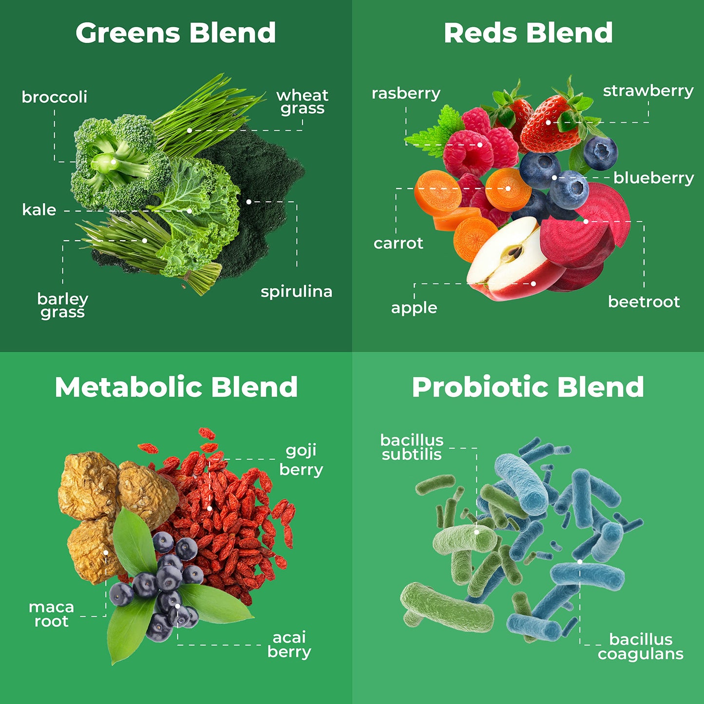 TRUMETA Greens Powder Travel Packs - 14 Servings for Memory & Digestion | Organic, Vegan & Non-GMO