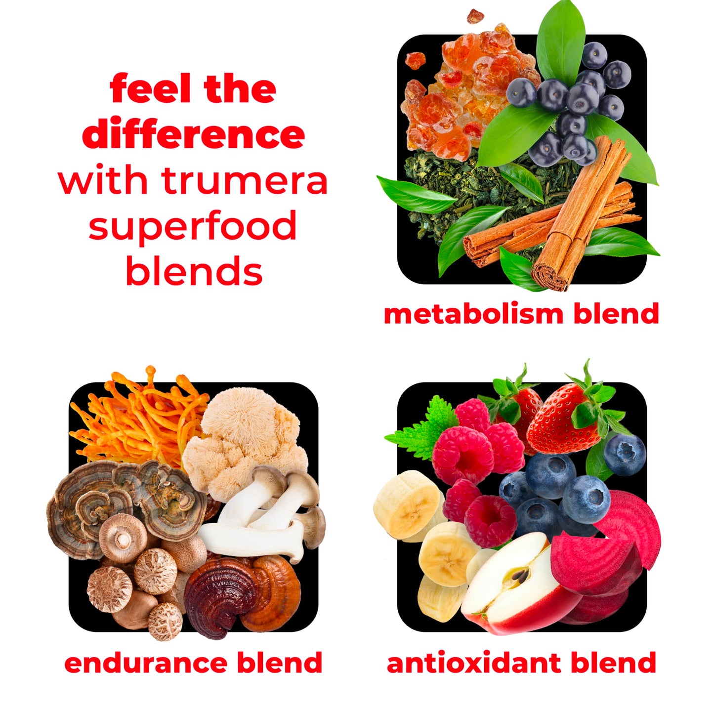 TRUMETA Superfood Reds Powder Packs – Immune Support & Memory