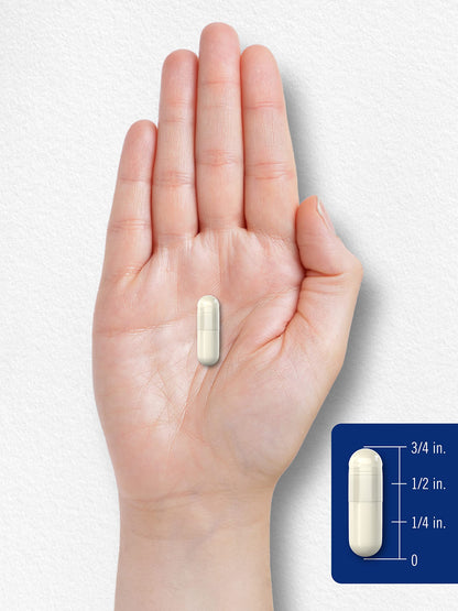 Carlyle 5-HTP 100 mg | 240 Capsules | Non-GMO & Gluten Free | 5-Hydroxytryptophan Supplement