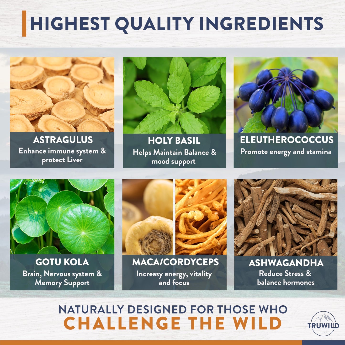 TruWild Adaptogen Blend – Cordyceps, Maca & Ashwagandha (60 Caps)