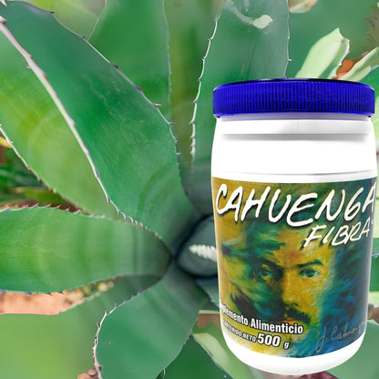 Tu Salud Plus Fiber Dietary Supplement 500g
