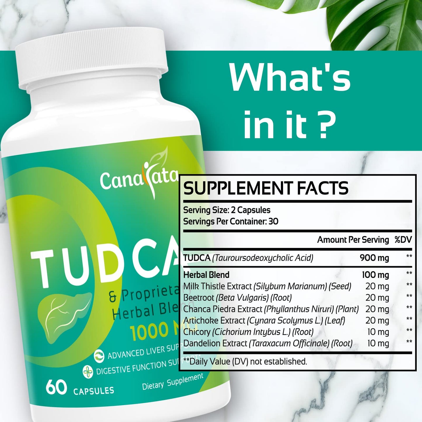 TUDCA Liver Support 1000mg - 60 Vegan Capsules | Milk Thistle & Herbal Blend