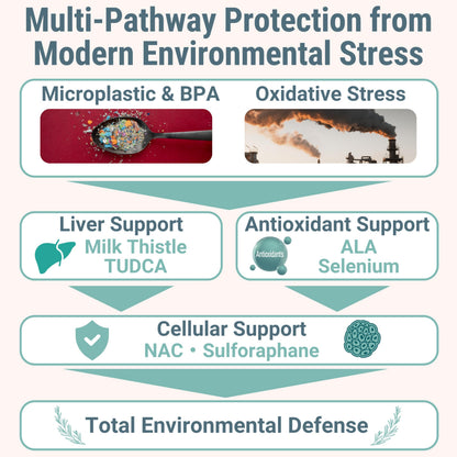 TUDCA NAC ALA Gummies – N‑Acetylcysteine, Alpha Lipoic Acid, Sulforaphane