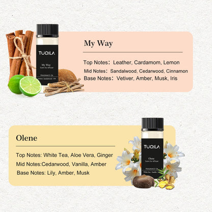 Tuqila Waterless Diffuser Oil Set (6x20mL) – Luxury Hotel Scents: My Way, Olene, Candy Mints, Mysterious, Bergamot, Oud Wood