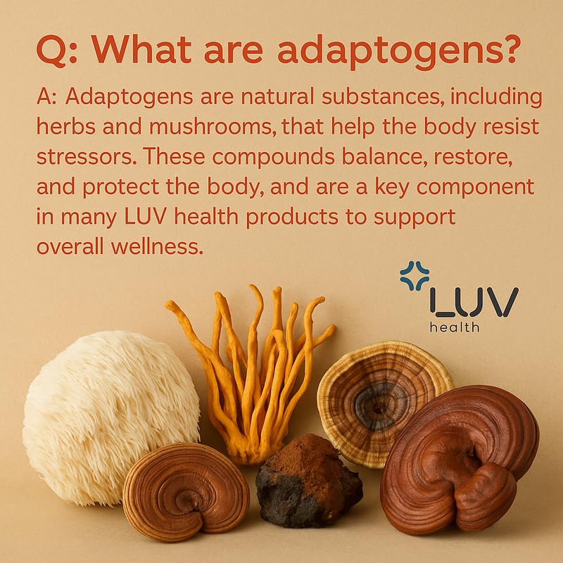 LUV health Flow Drops – Energy, Focus & Immune Support | Adaptogenic Mushrooms (Vegan, Made in USA)