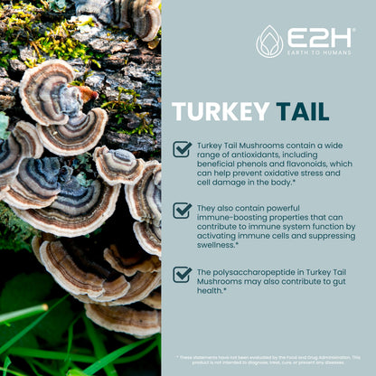 Turkey Tail Mushroom Extract - Faster Absorption | Immune & Digestive Support (2 oz)