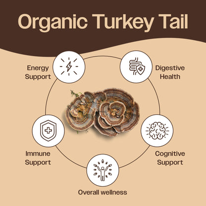 Turkey Tail Mushroom Powder Organic – Immune & Digestive Support (7.10 oz, 200 Servings)