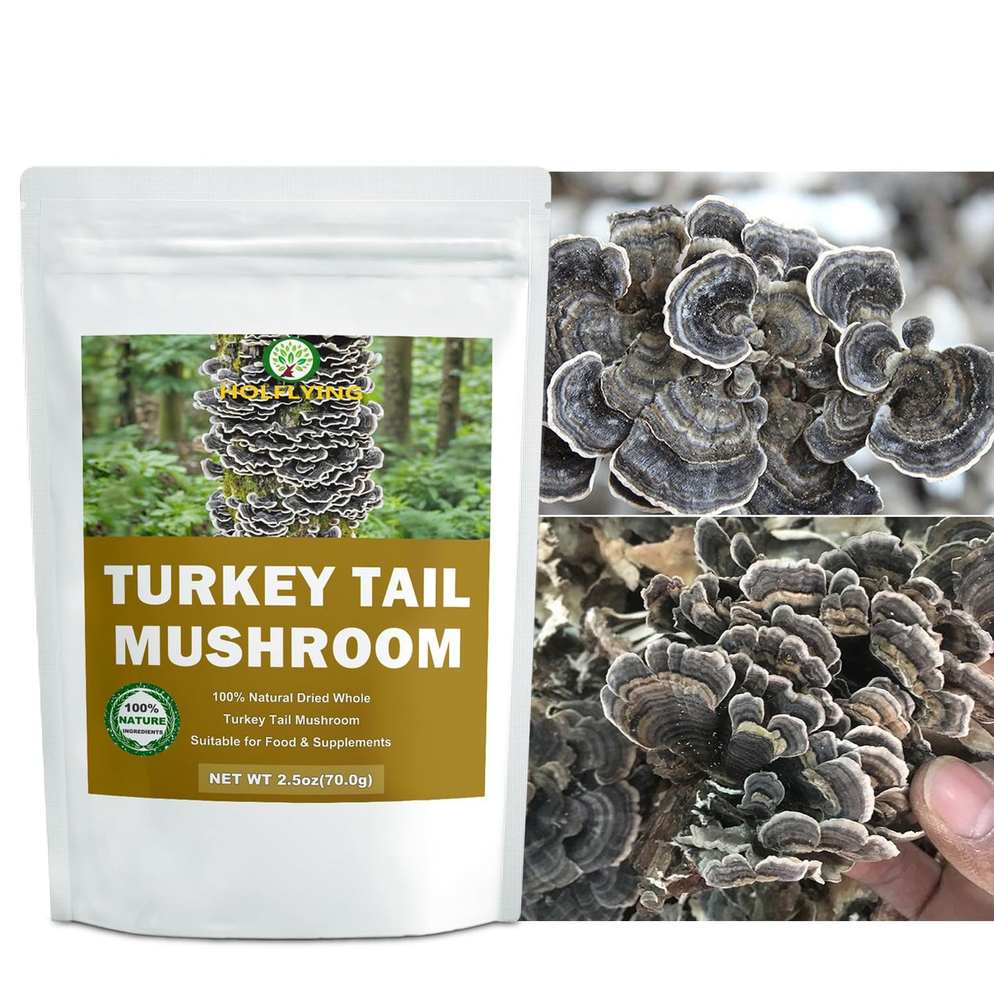 Dried Whole Turkey Tail Mushrooms - 2.5 oz, All-Natural Turkey Tail Mushrooms for Cooking, Soup, Tea and Vegan Recipes, No Additives, No GMO