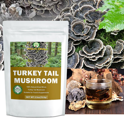 Dried Whole Turkey Tail Mushrooms - 2.5 oz, All-Natural Turkey Tail Mushrooms for Cooking, Soup, Tea and Vegan Recipes, No Additives, No GMO