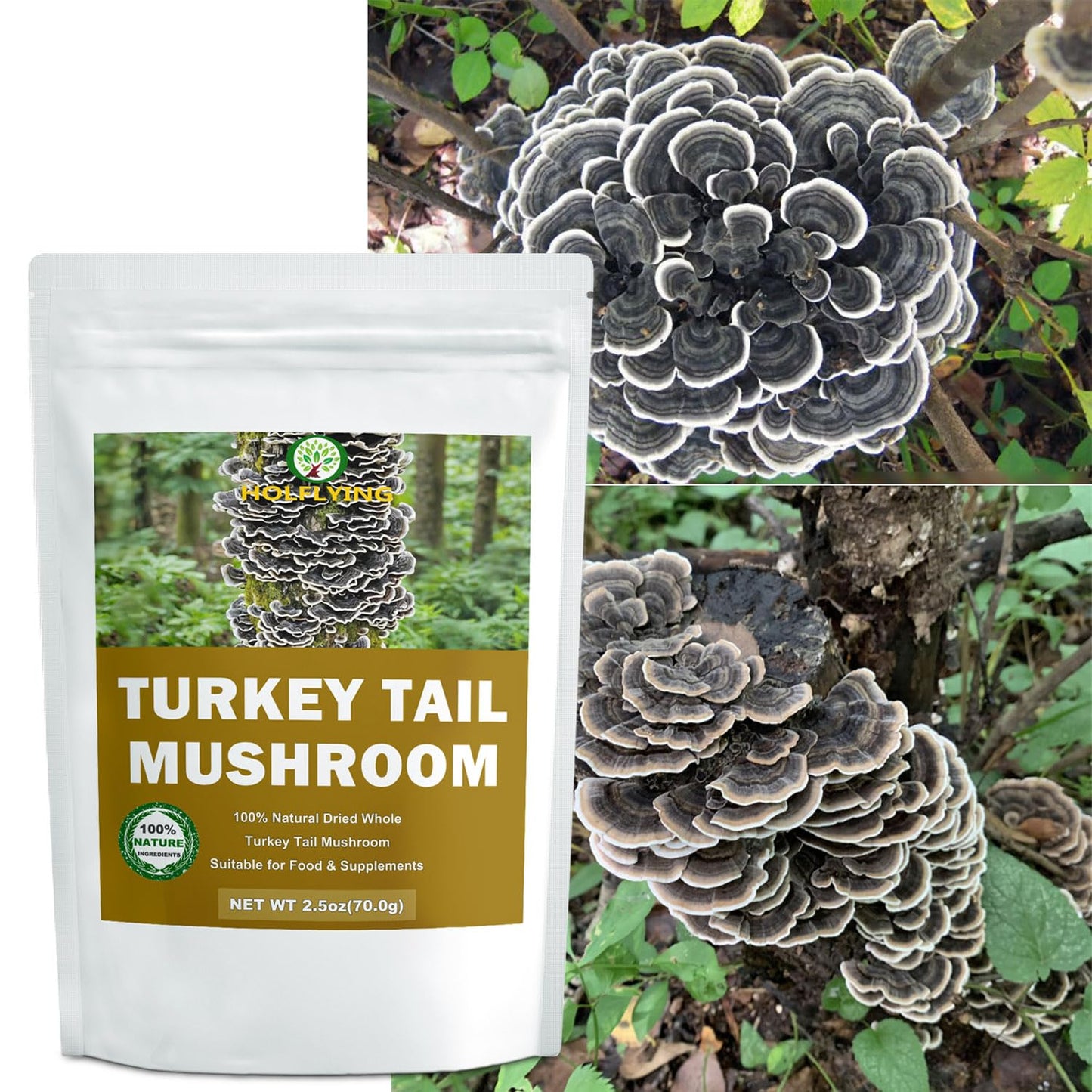 Dried Whole Turkey Tail Mushrooms - 2.5 oz, All-Natural Turkey Tail Mushrooms for Cooking, Soup, Tea and Vegan Recipes, No Additives, No GMO