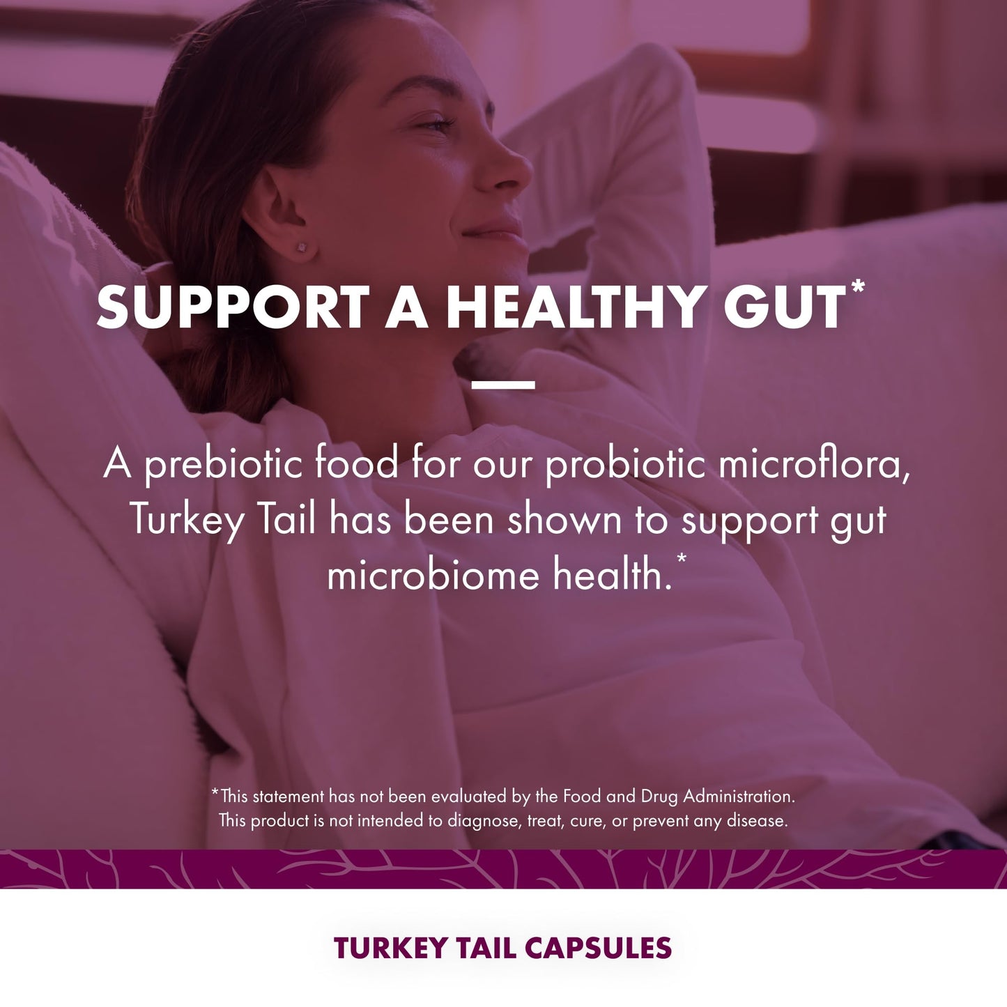 Host Defense Turkey Tail Capsules - 240 ct (Two 120 ct) - Immune & Digestive Health