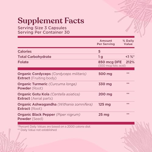 Four Sigmatic Memory Capsules – Reduce Brain Fog & Improve Memory