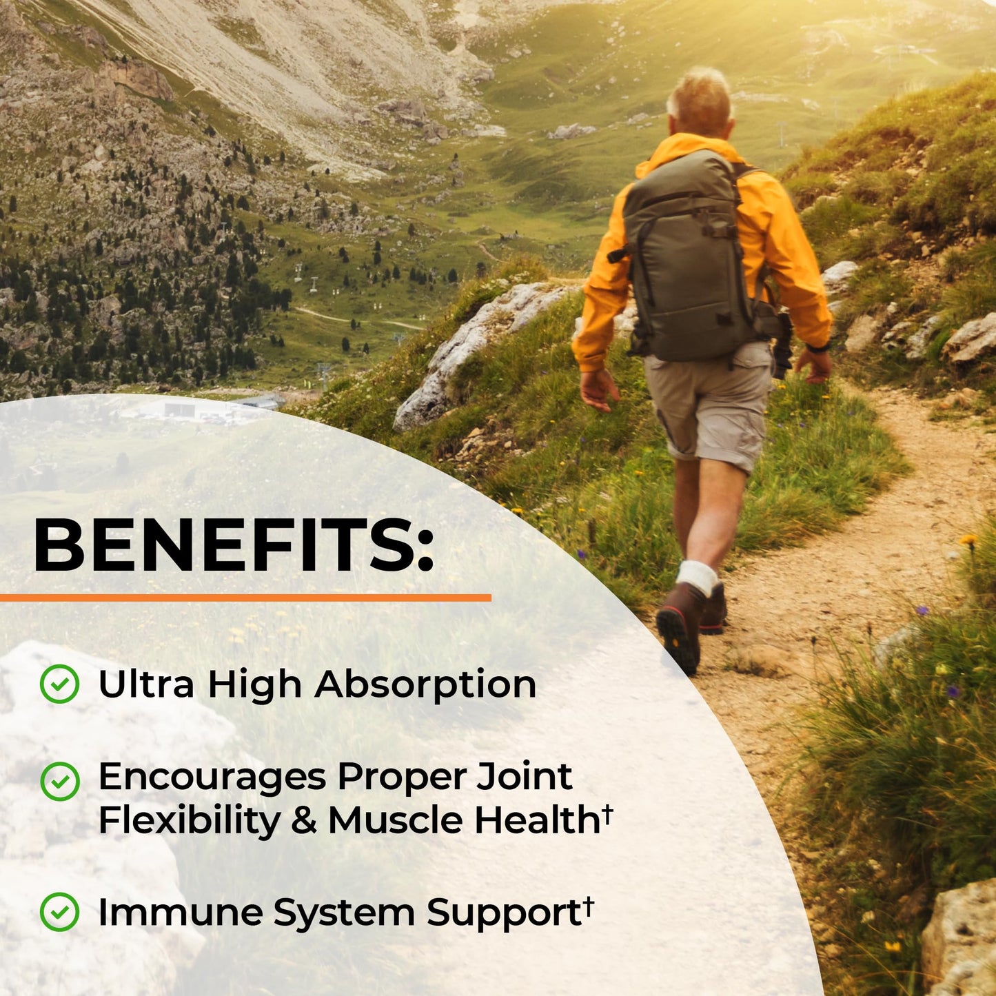 Turmeric Curcumin 1500mg with BioPerine – 90 Vegan Capsules (95% Curcuminoids)
