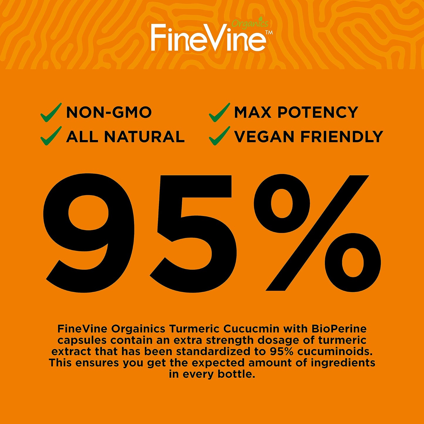 Turmeric Curcumin with BioPerine, Black Pepper & Ginger — Made in USA | 120 Vegetarian Capsules