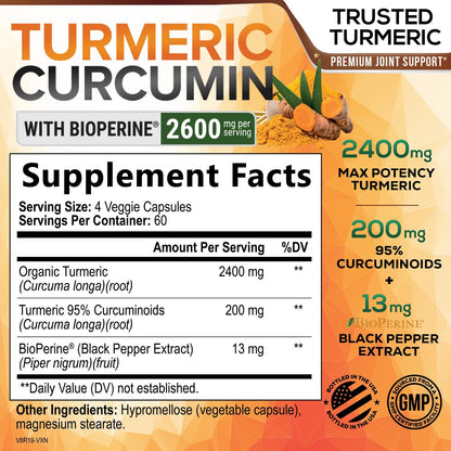 Turmeric Curcumin Supplement 2600mg – 95% Curcuminoids, BioPerine & Organic Turmeric – 240 Capsules | Made in USA