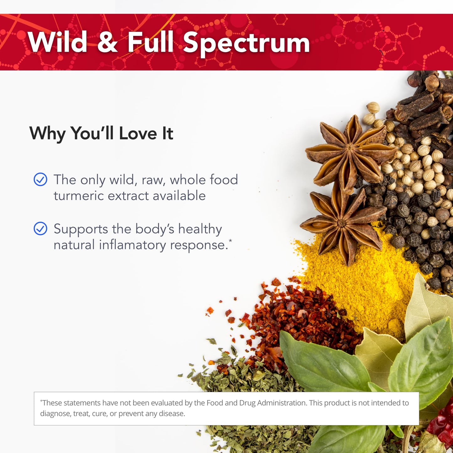 Physician's Strength Turmeric Extra Strength - 60 Softgels | Wild, Raw Turmeric Extract