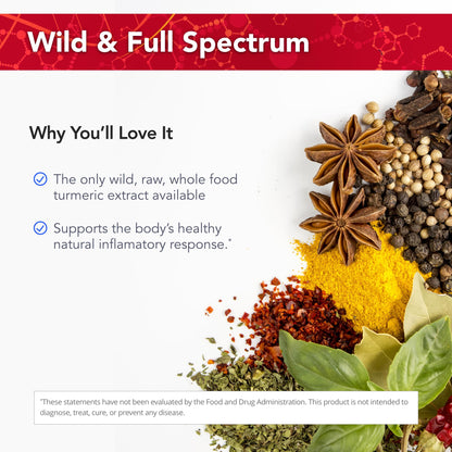 Physician's Strength Turmeric Extra Strength - 60 Softgels | Wild, Raw Turmeric Extract