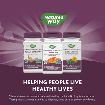 Nature's Way Turmeric Max Potency Premium Extract – Joint Support* (60 Vegan Capsules, Pack of 2)