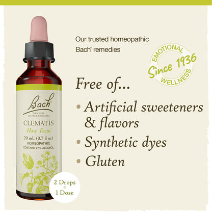 Bach Clematis Have Focus - Original Flower Remedies | 20mL Dropper