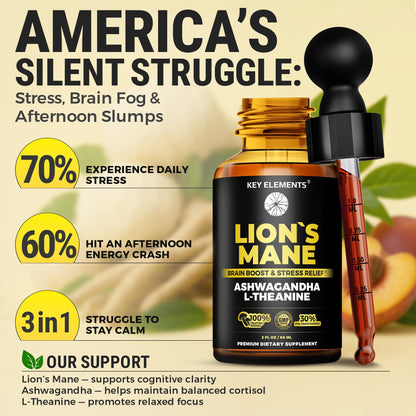 KEY ELEMENTS Lions Mane Extract for Memory, Focus & Brain Health – Tincture with Ashwagandha & L-Theanine