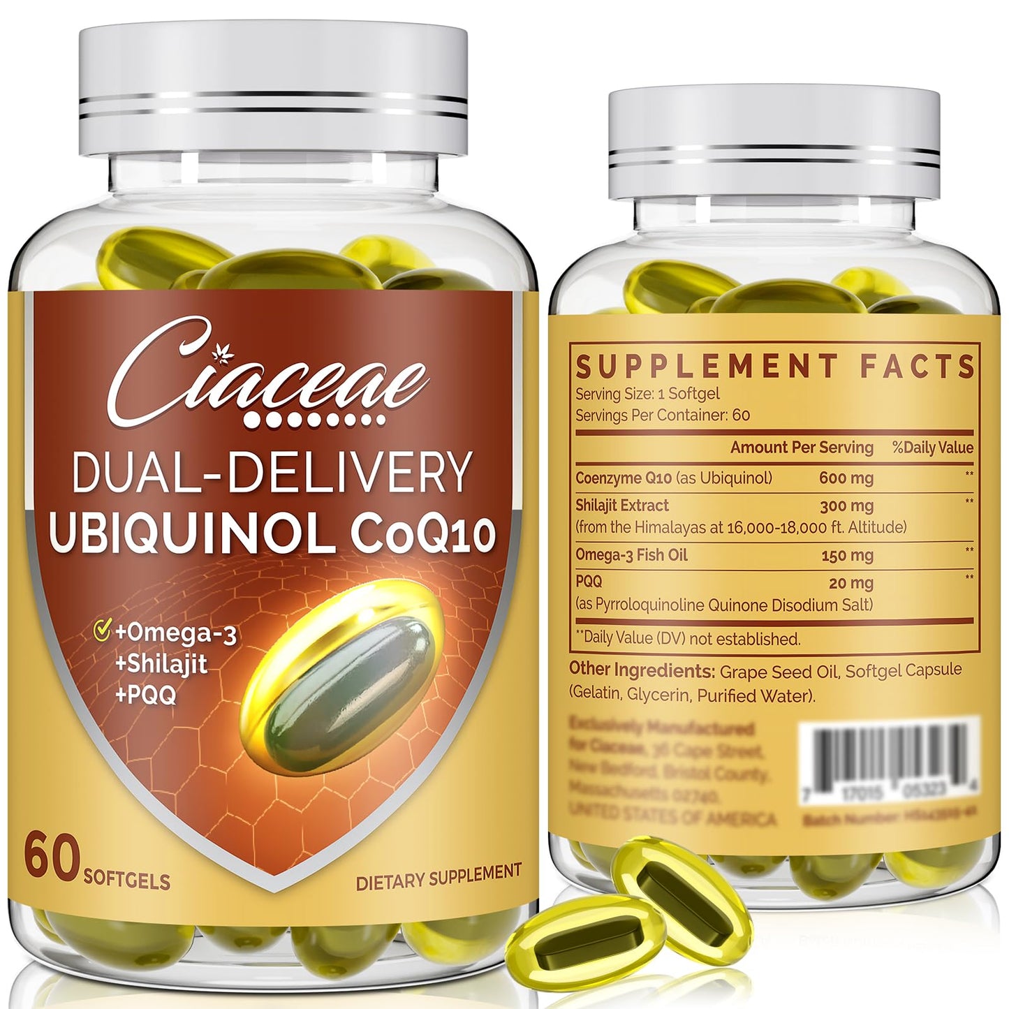 Ubiquinol CoQ10 600 mg Softgels – Dual-Delivery with Omega-3, Shilajit & PQQ, 120 Servings