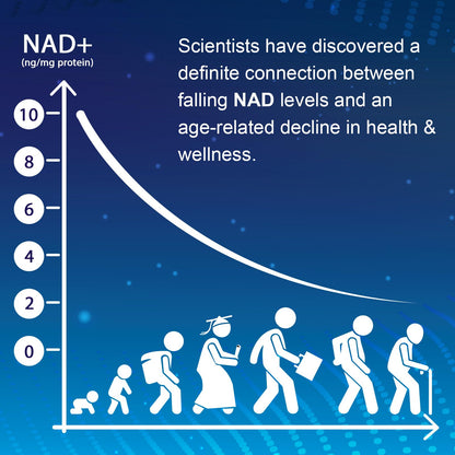 Ucessuyy NMNH NAD+ Supplement – 60 Capsules to Boost NAD+ Levels