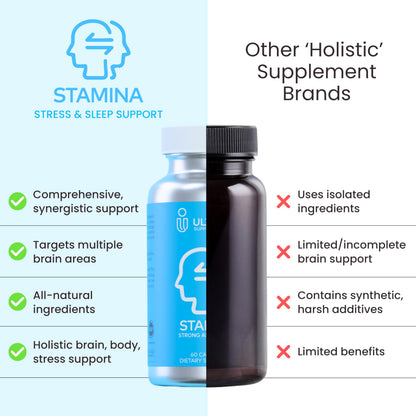 Ultisana Stamina Antioxidant & Stress Relief Supplement | for Enhanced Mood, Boost Energy, Immune & Sleep Support | Vitamin B12 & B6, Ashwagandha, Turmeric, 5-HTP & More | Non-GMO, 60 Capsules