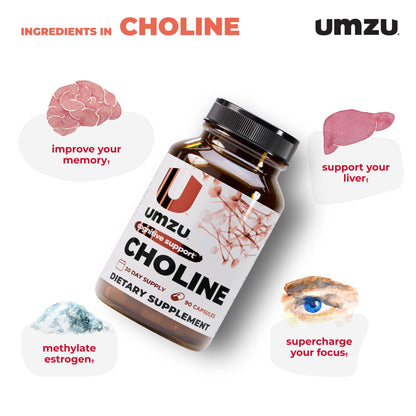 UMZU Choline Supplement | Cognitive & Hormonal Support | 30 Day Supply | 90 Capsules