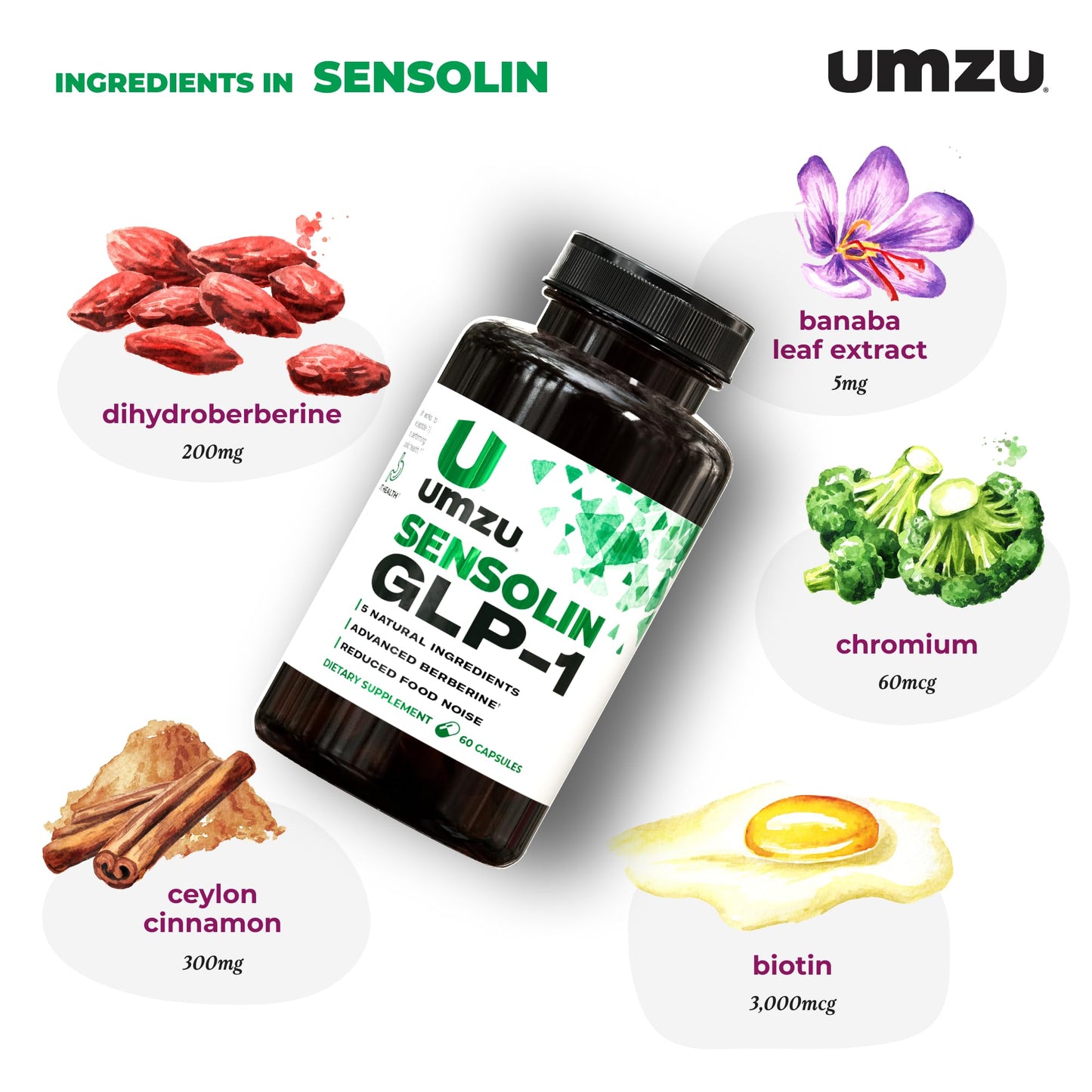 UMZU Sensolin GLP-1 Support Supplement – 30 Day Supply with Dihydroberberine, Cinnamon, Chromium & Biotin